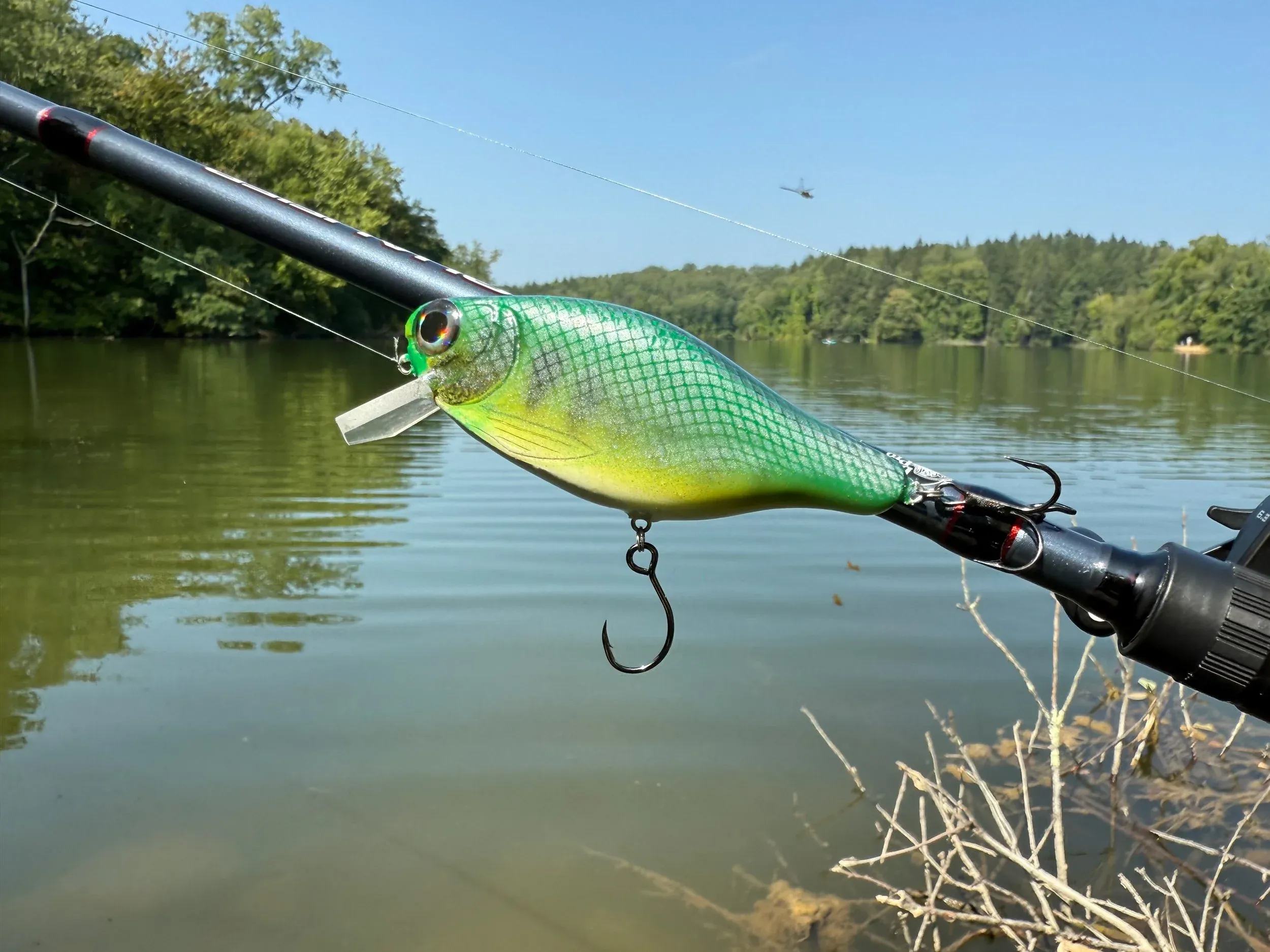 lures — photo 1
