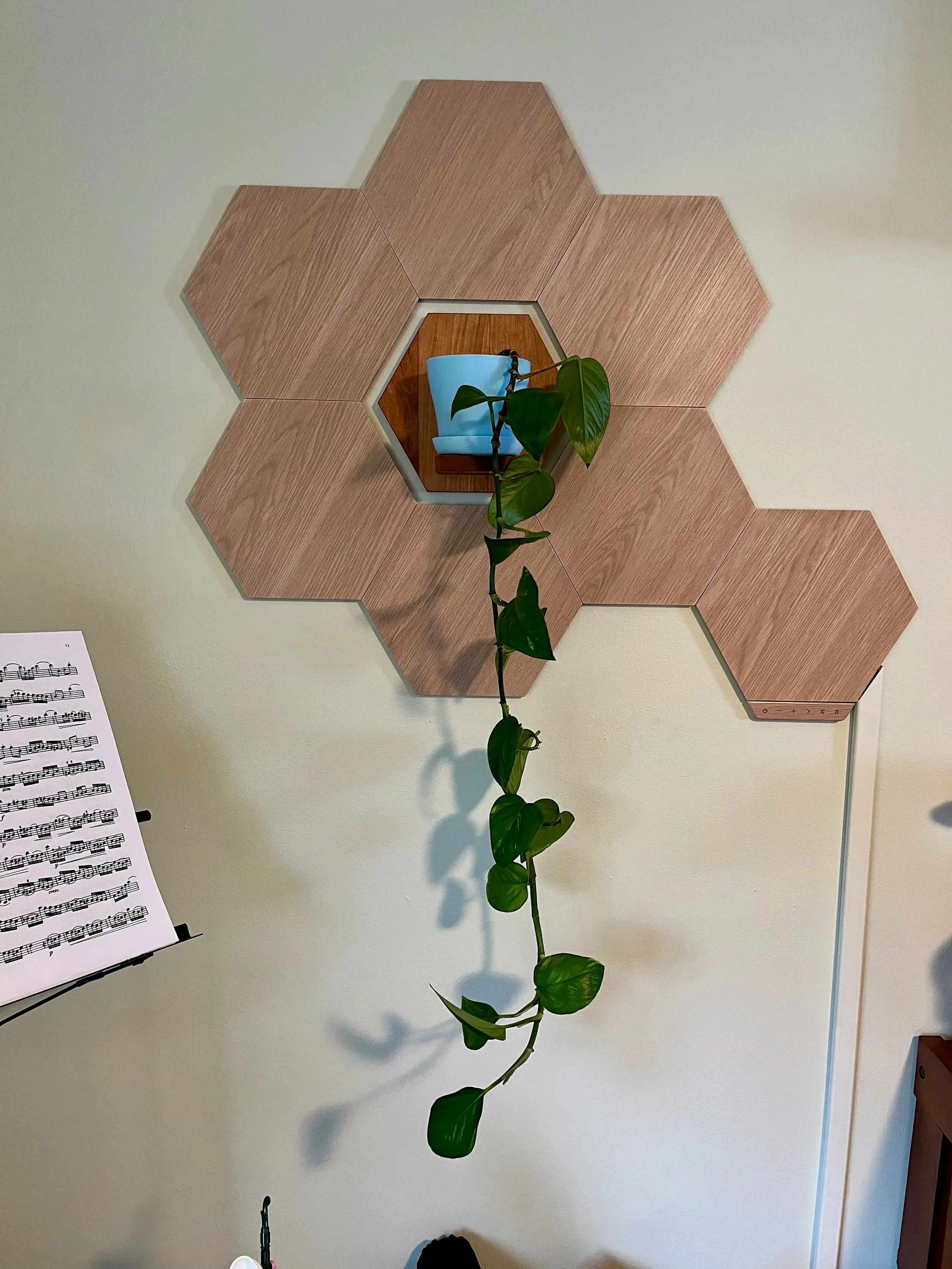 Nanoleaf Plant Holder — photo 2