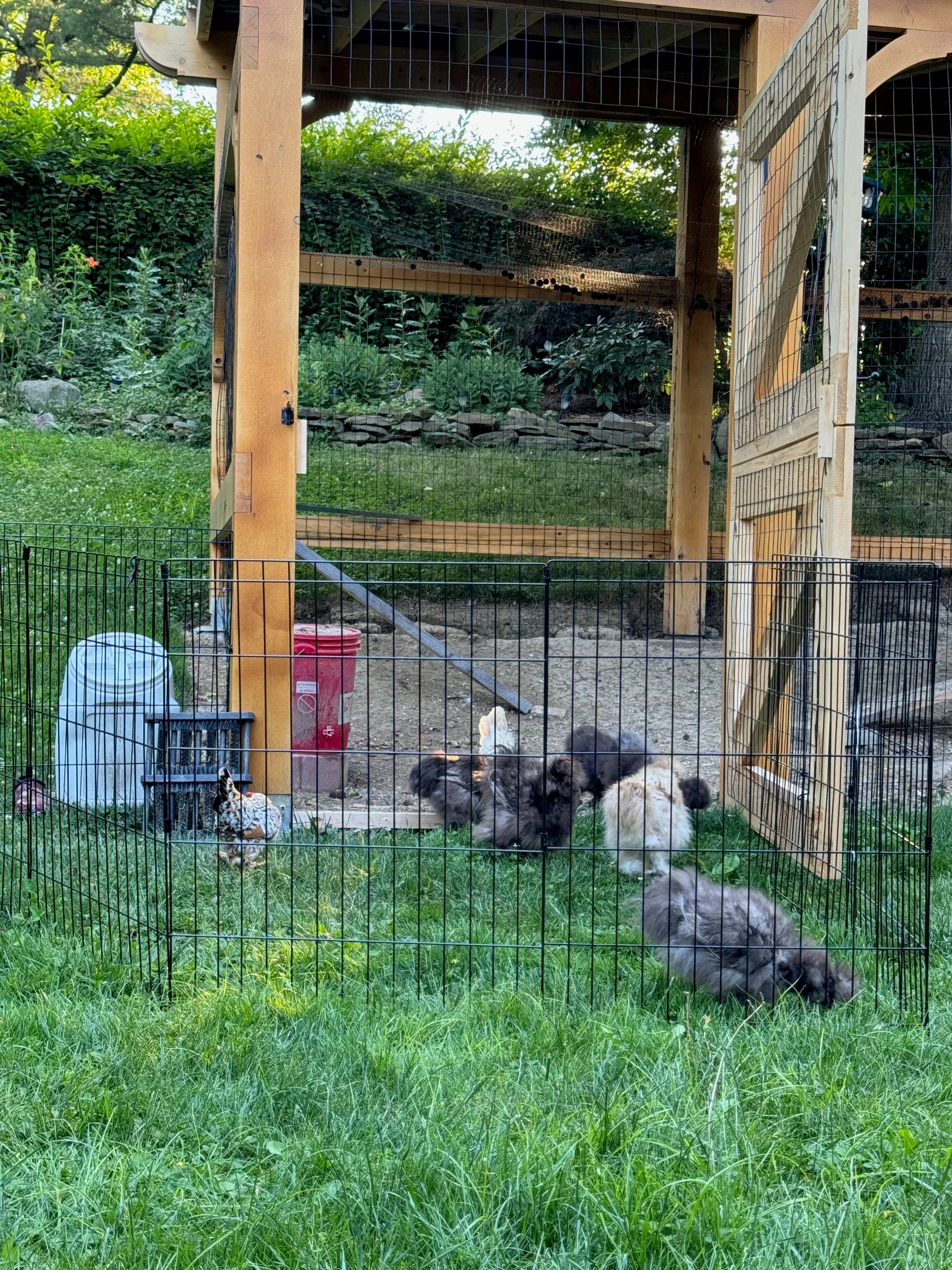 Chicken Fortress — photo 2