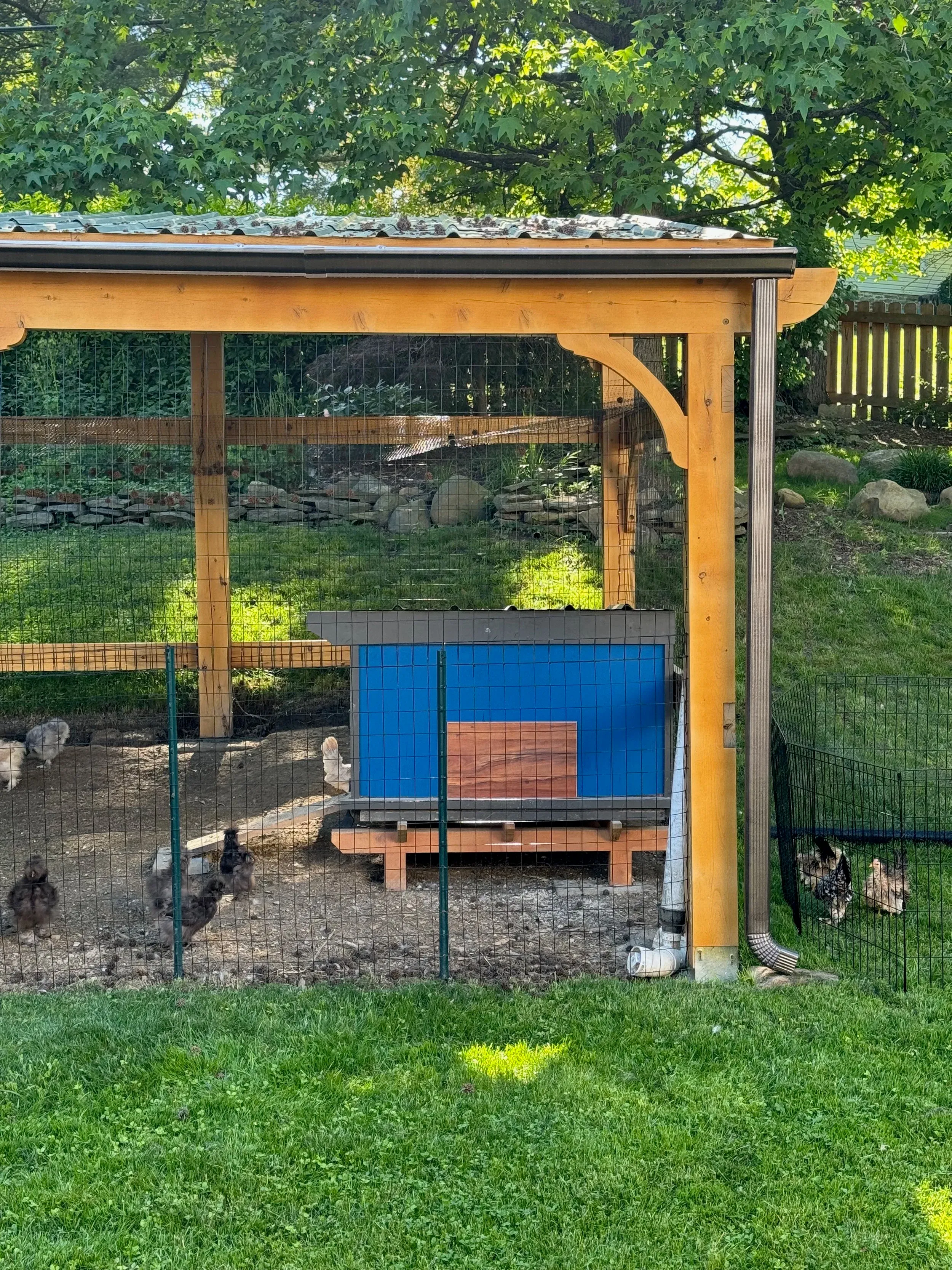 Chicken Fortress — photo 3