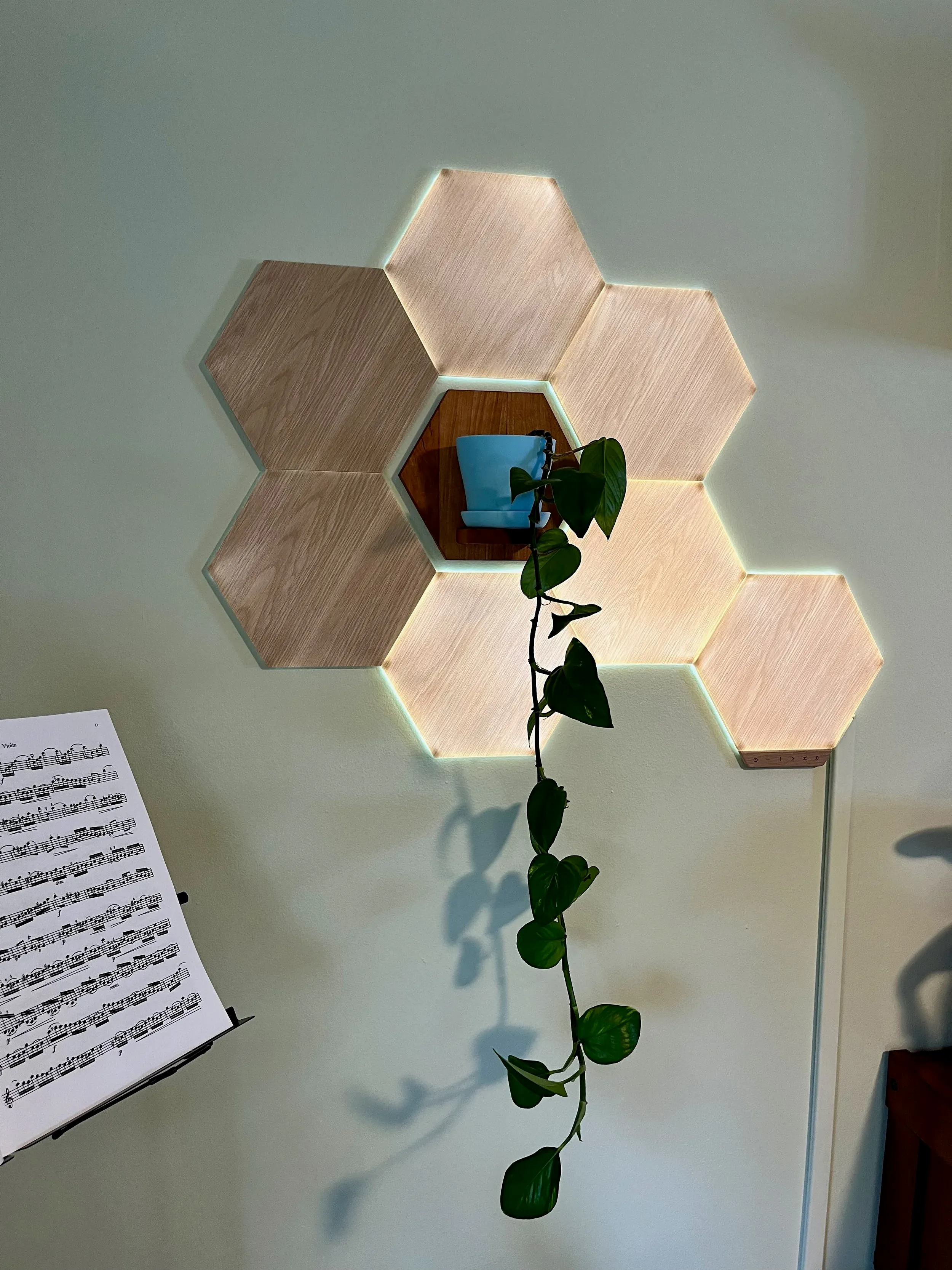 Nanoleaf Plant Holder — photo 3