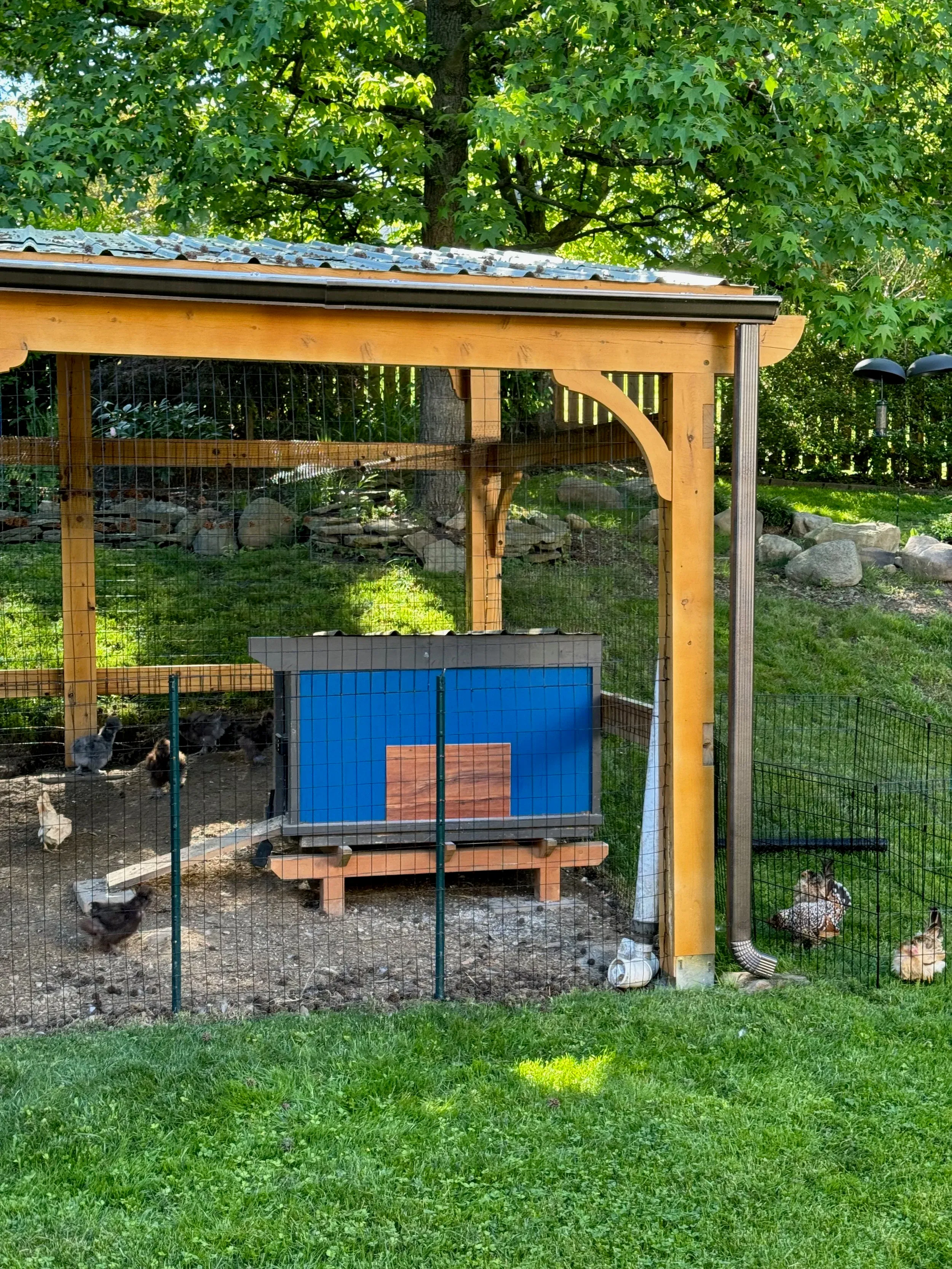 Chicken Fortress — photo 4