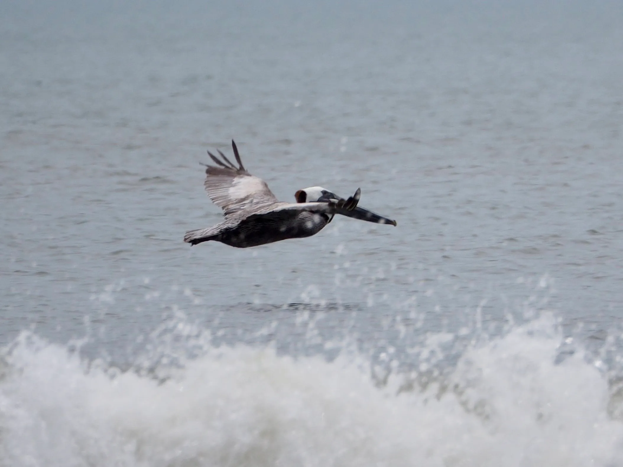 Corolla, North Carolina — photo 4