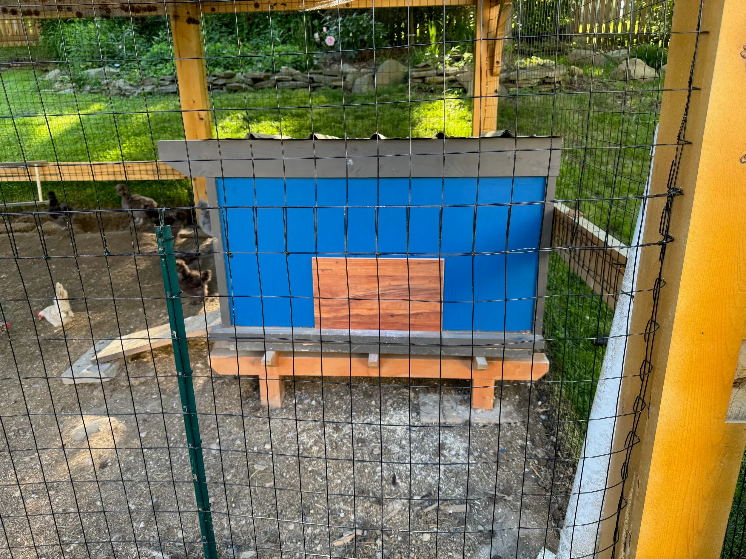 Chicken Fortress — photo 5