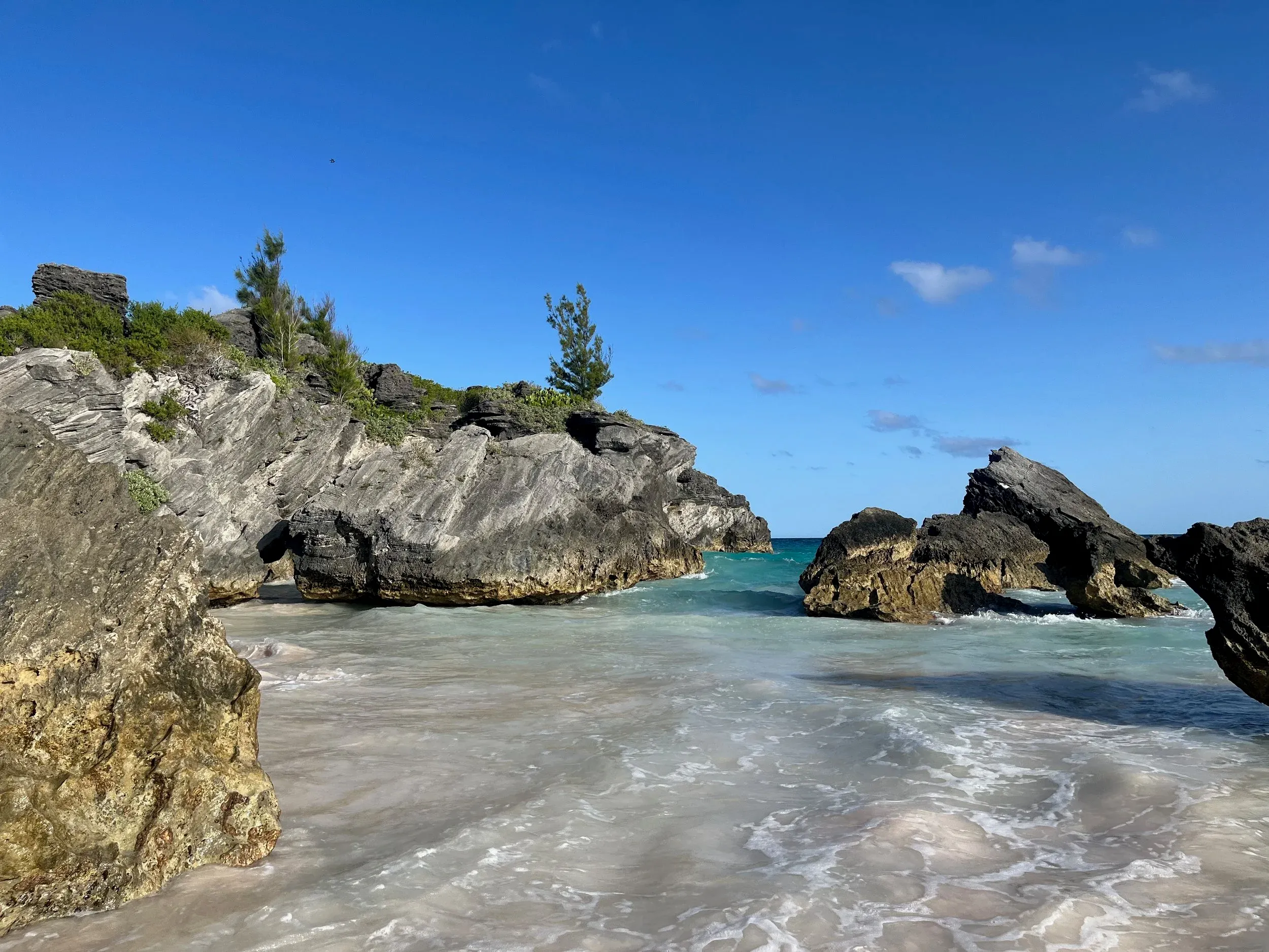 Bermuda — photo 7