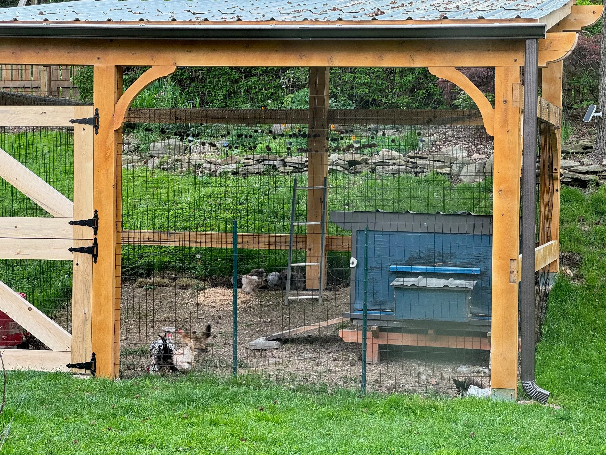 Chicken Fortress — photo 7