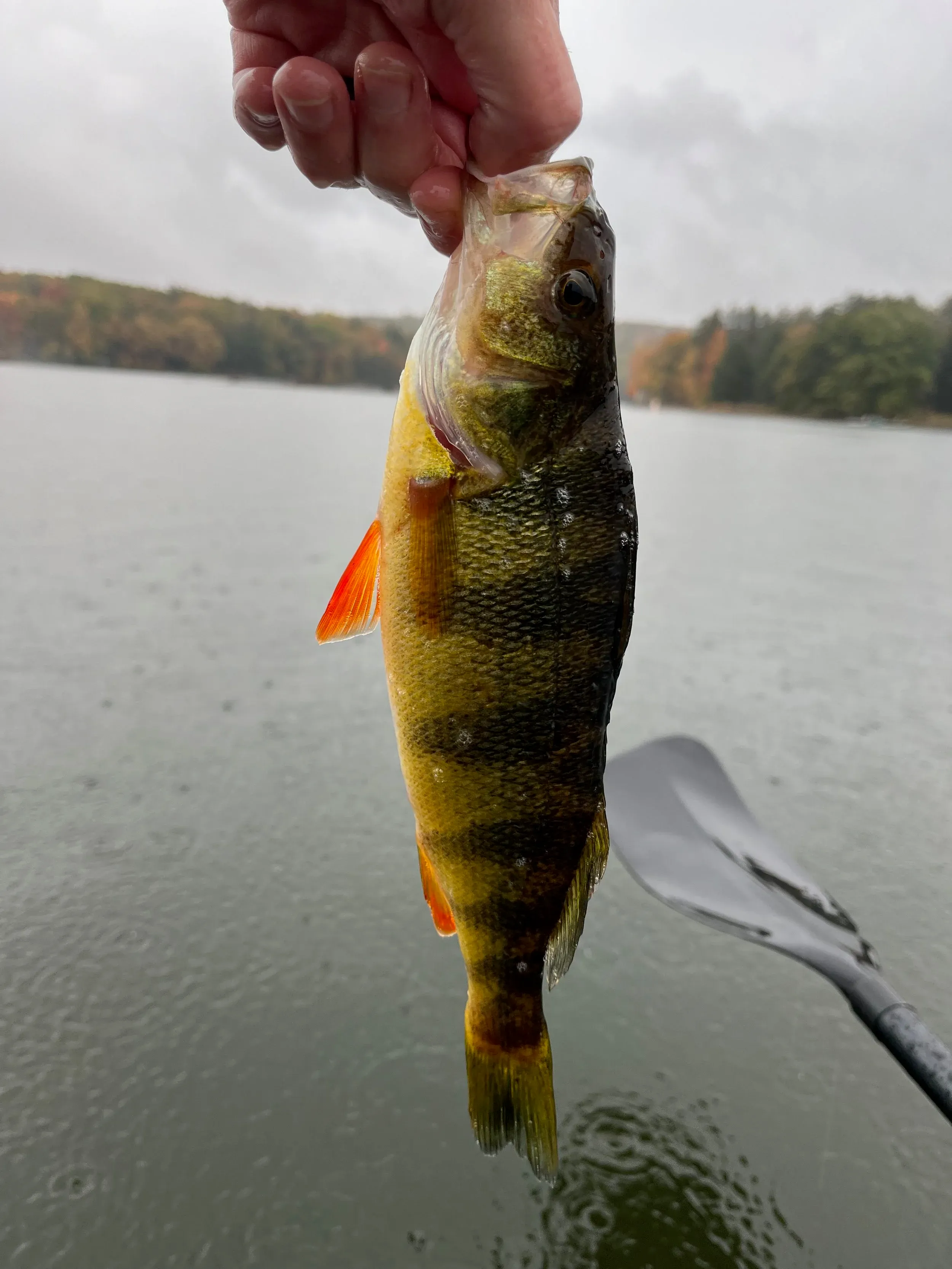 Deep Creek 2023 — photo 9