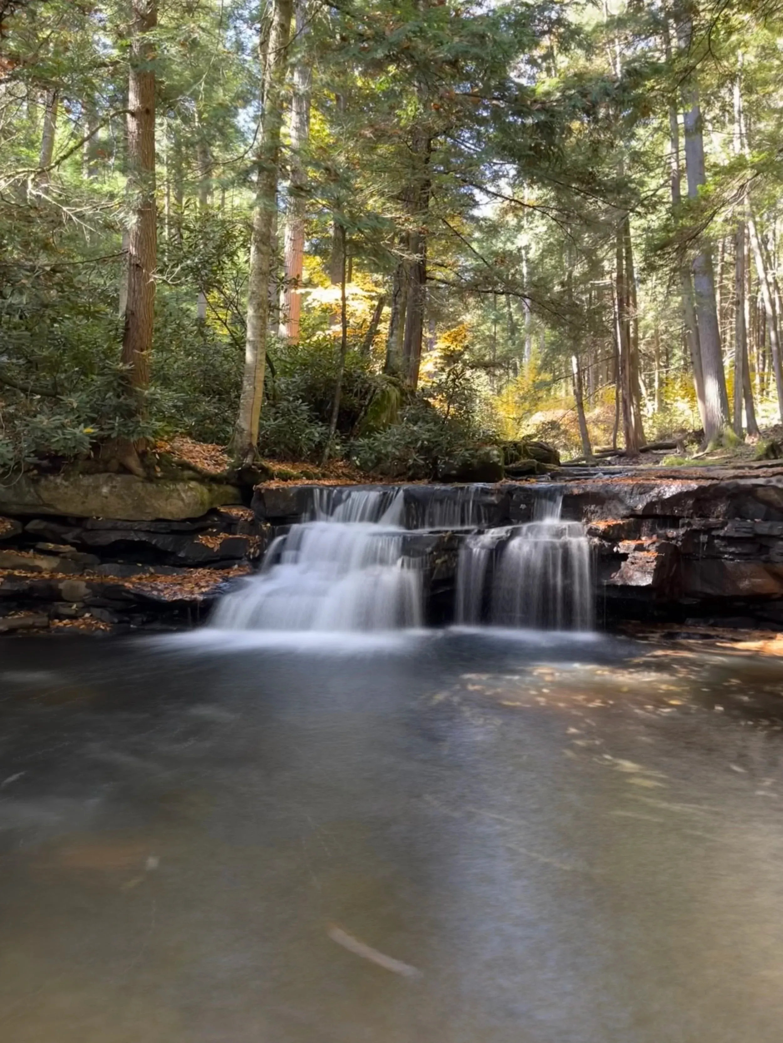 Deep Creek and Savage River — photo 11