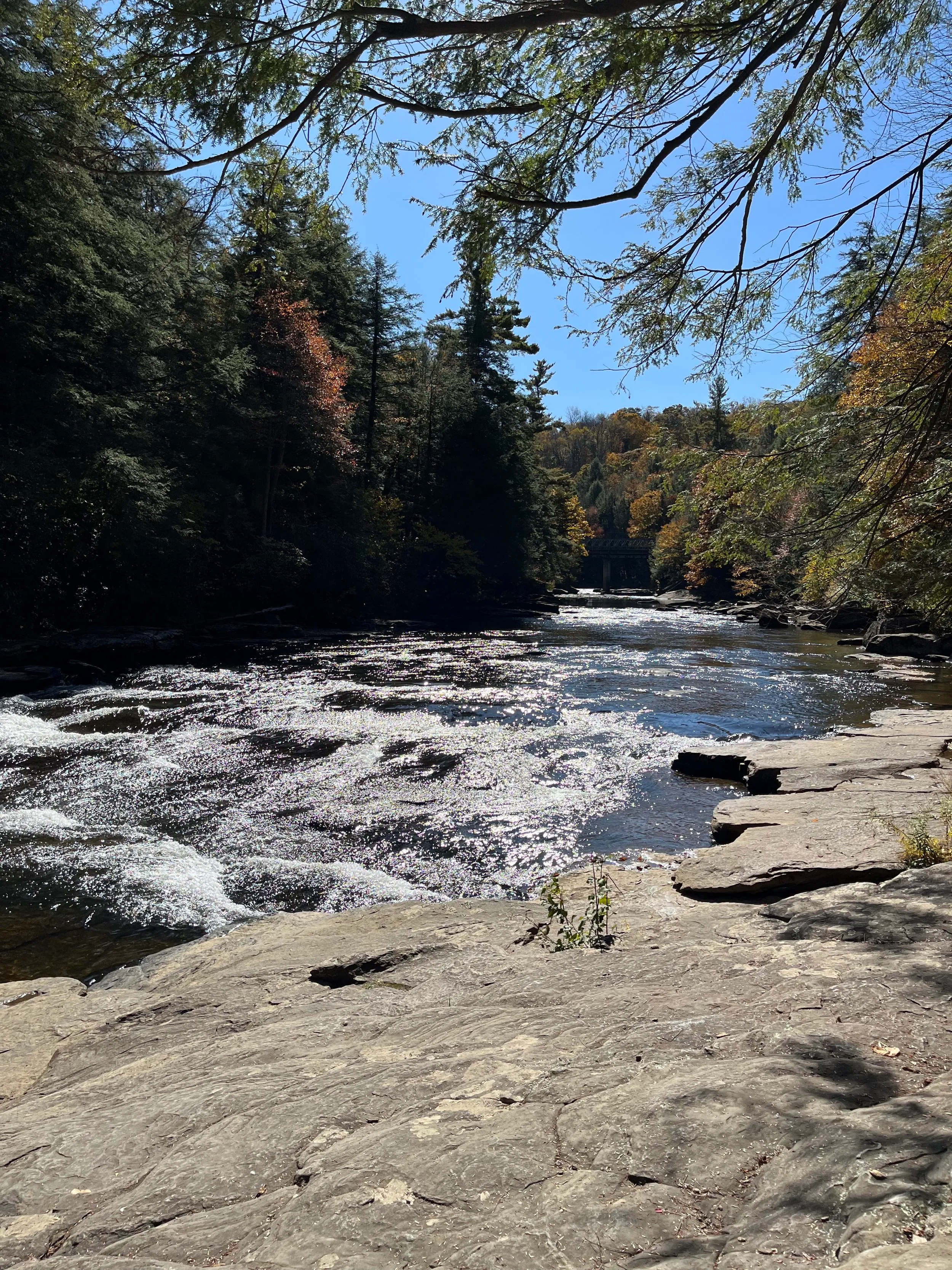 Deep Creek and Savage River — photo 12