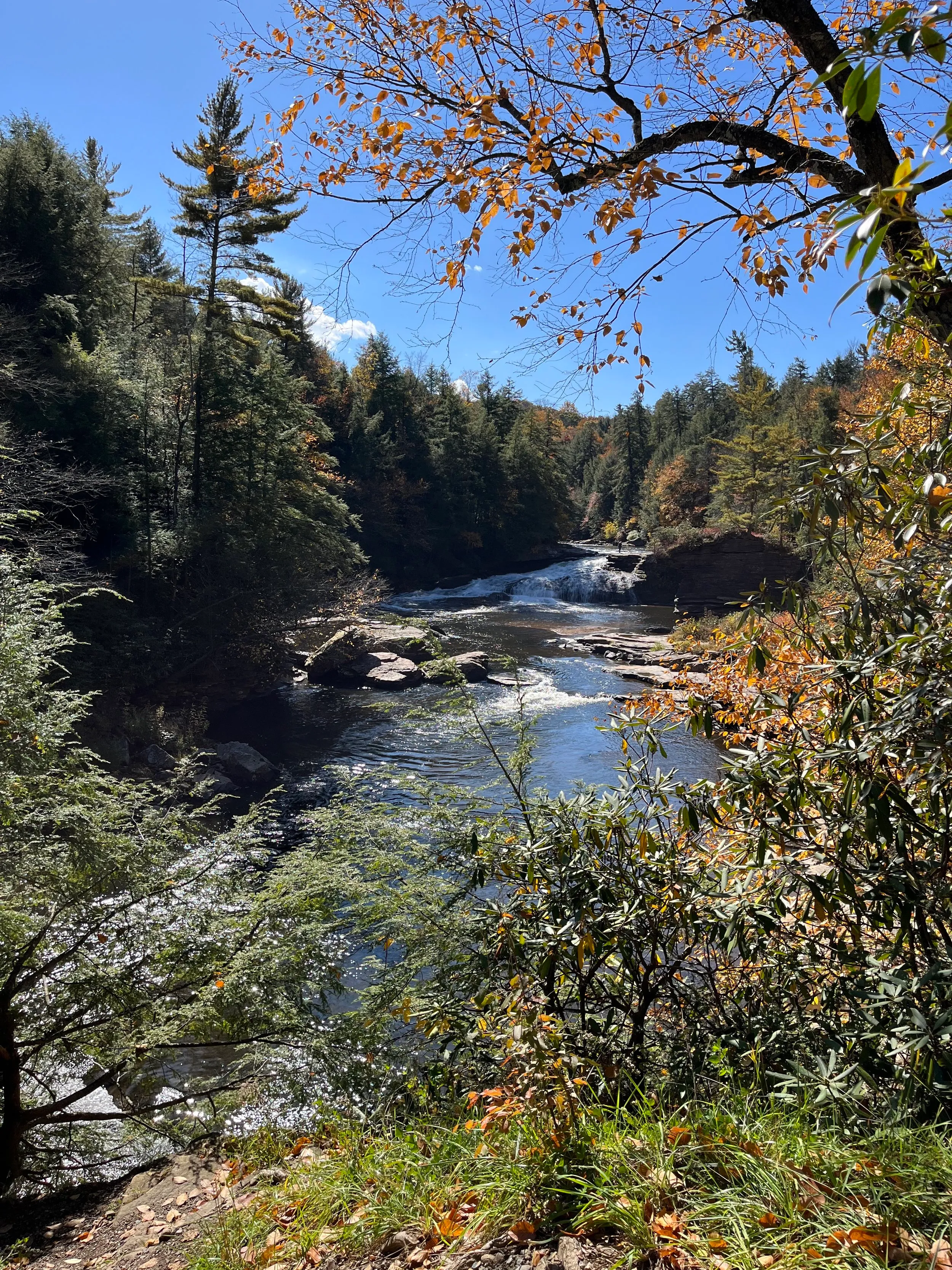 Deep Creek and Savage River — photo 14
