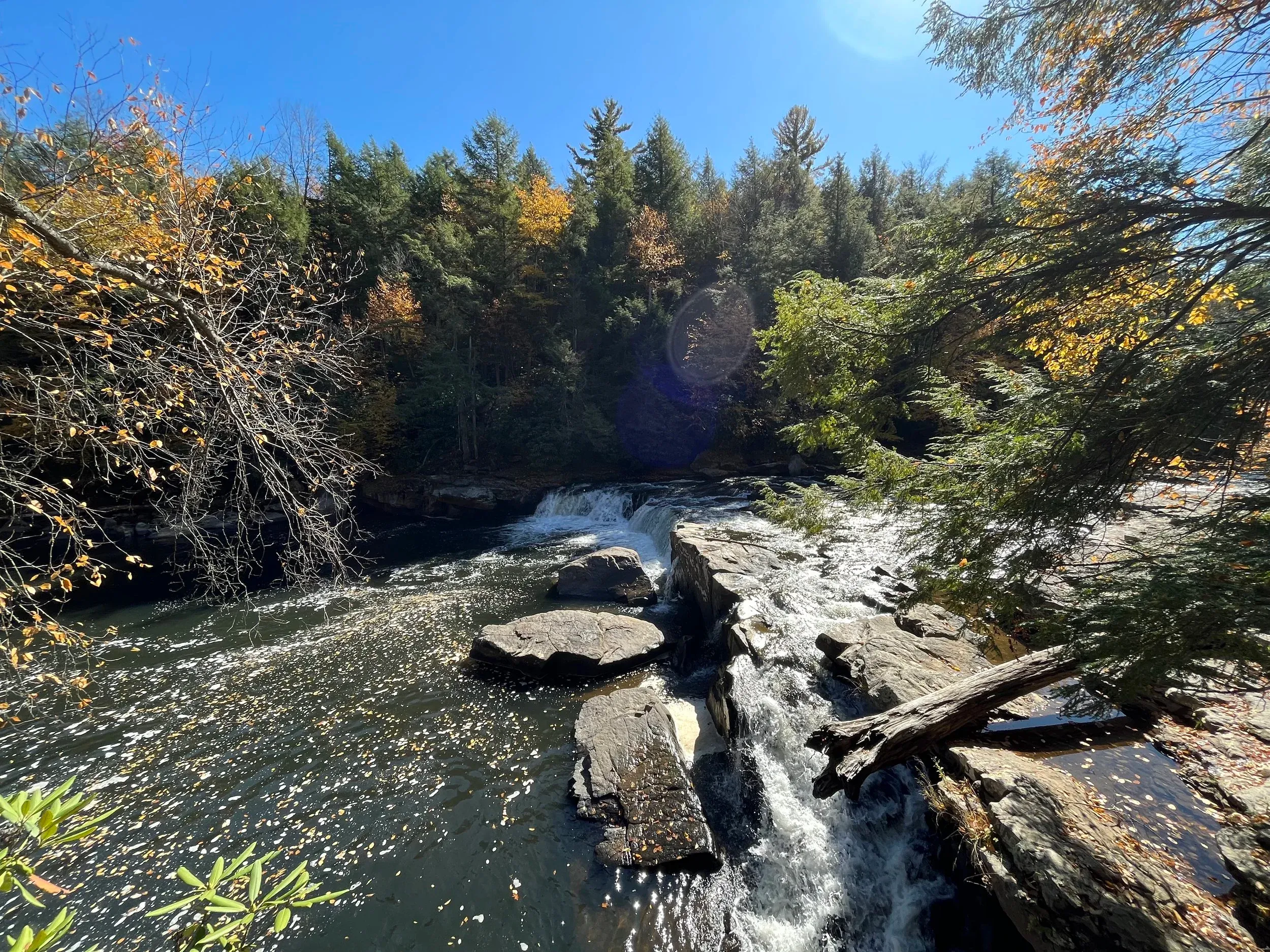Deep Creek and Savage River — photo 15