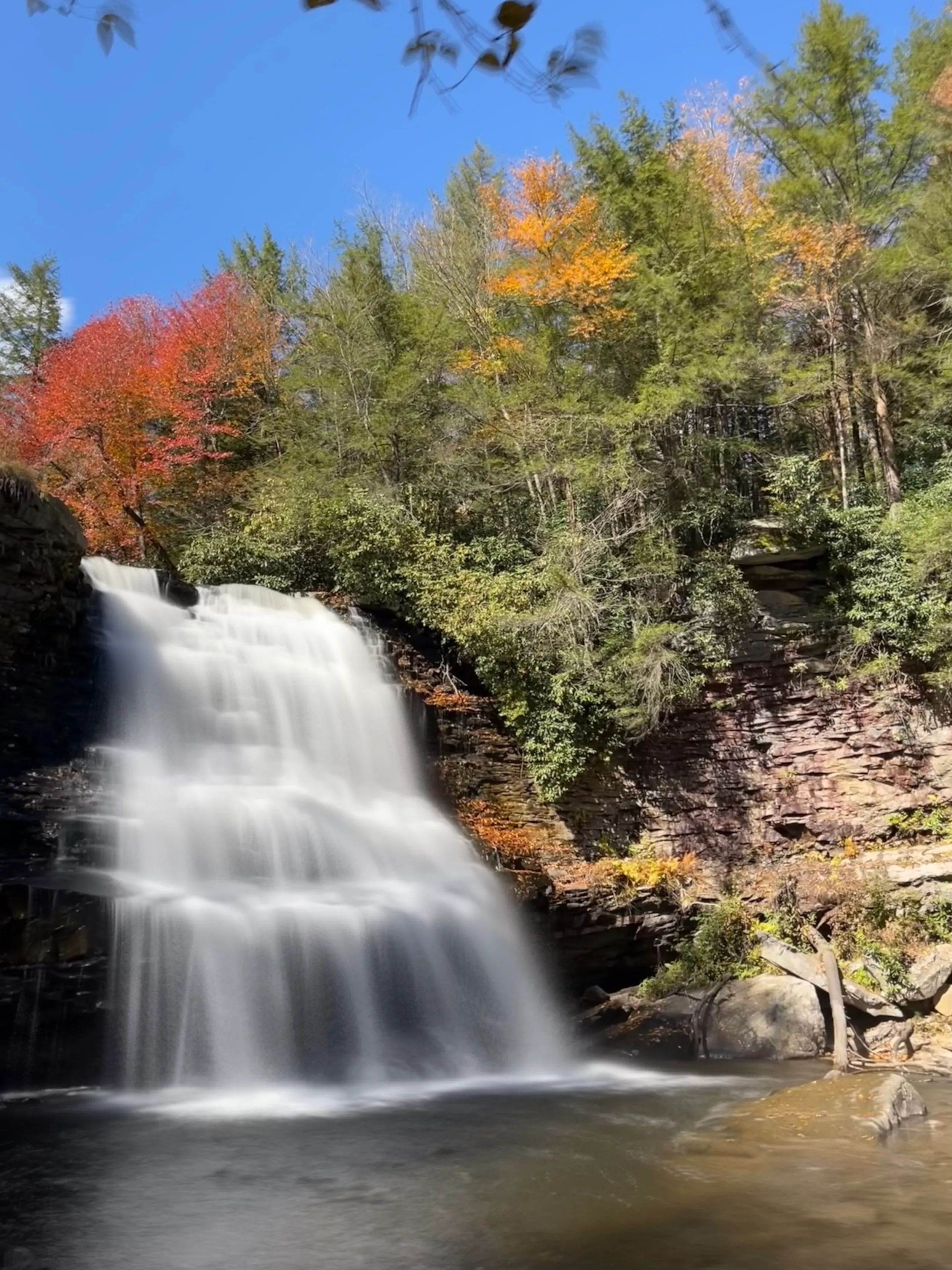 Deep Creek and Savage River — photo 16
