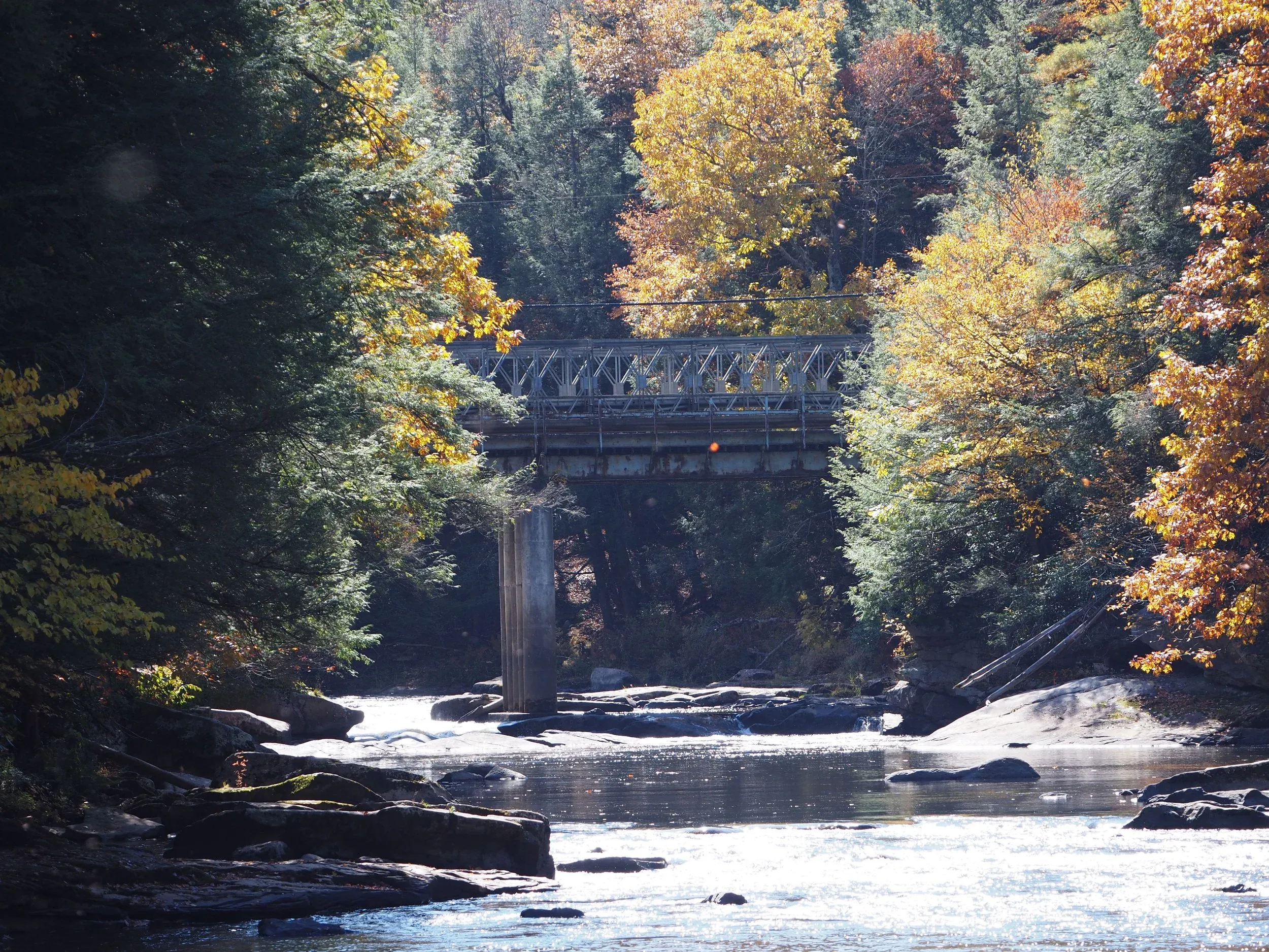 Deep Creek and Savage River — photo 17