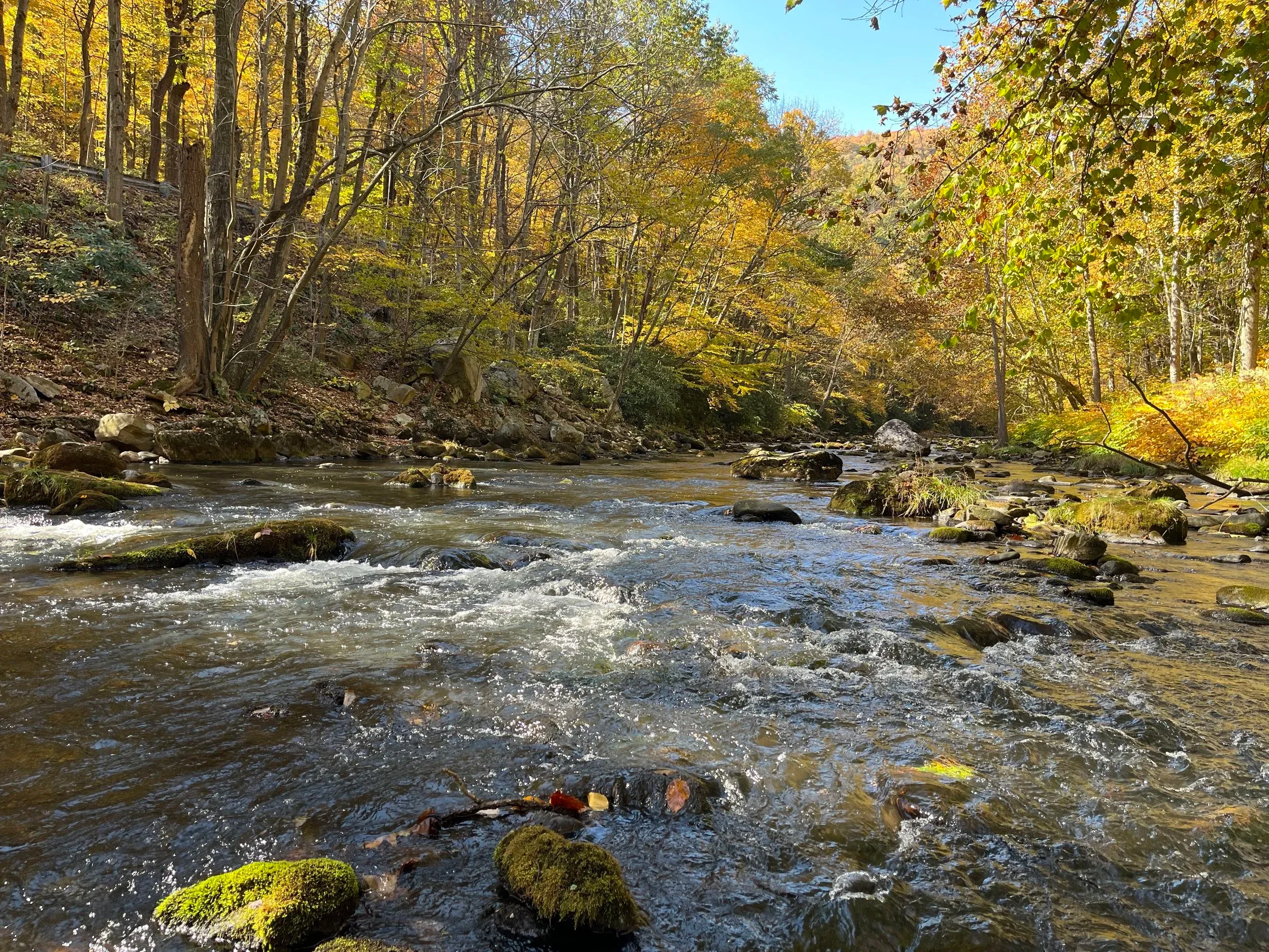 Deep Creek and Savage River — photo 19