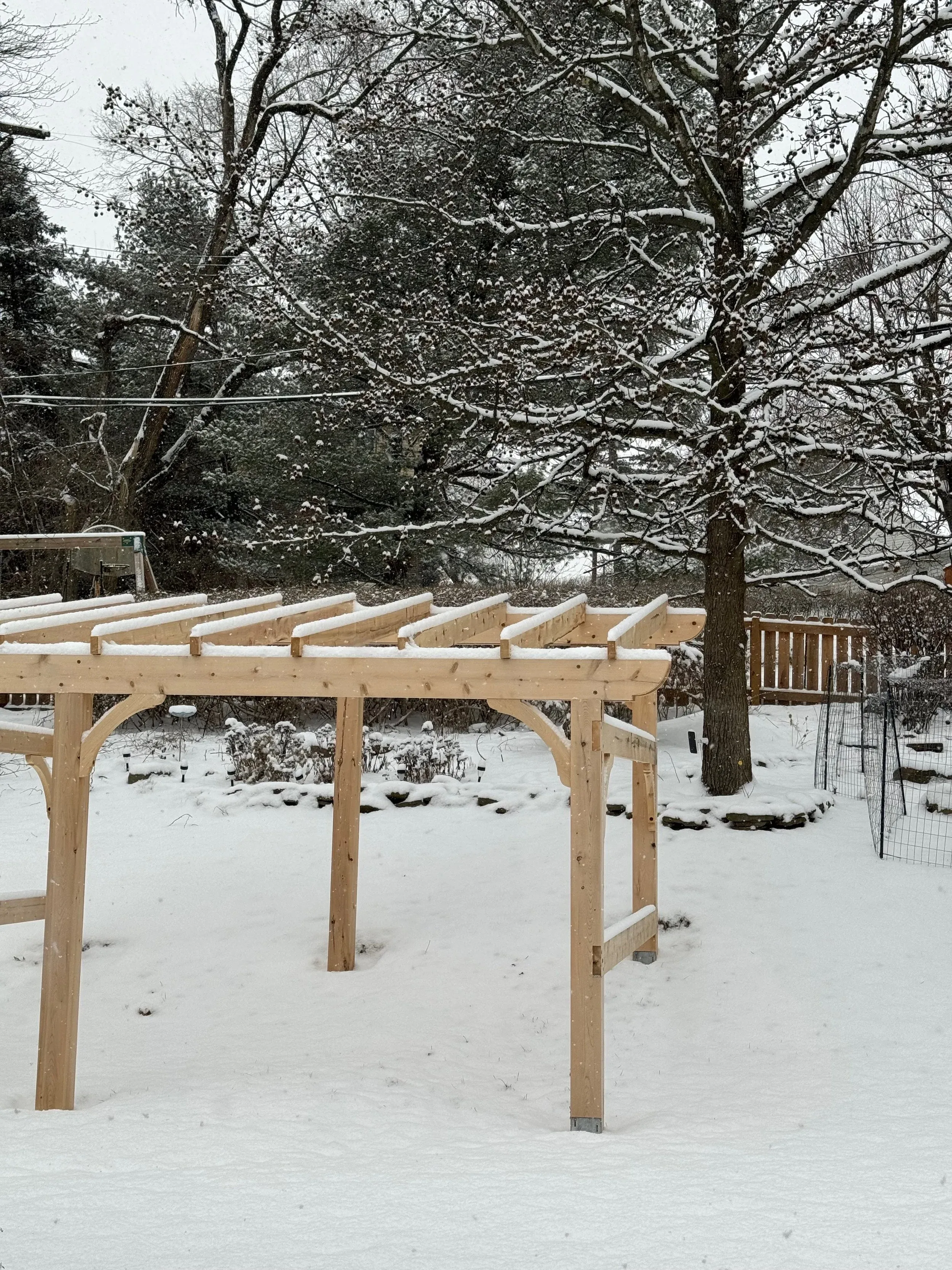 Chicken Fortress — photo 22