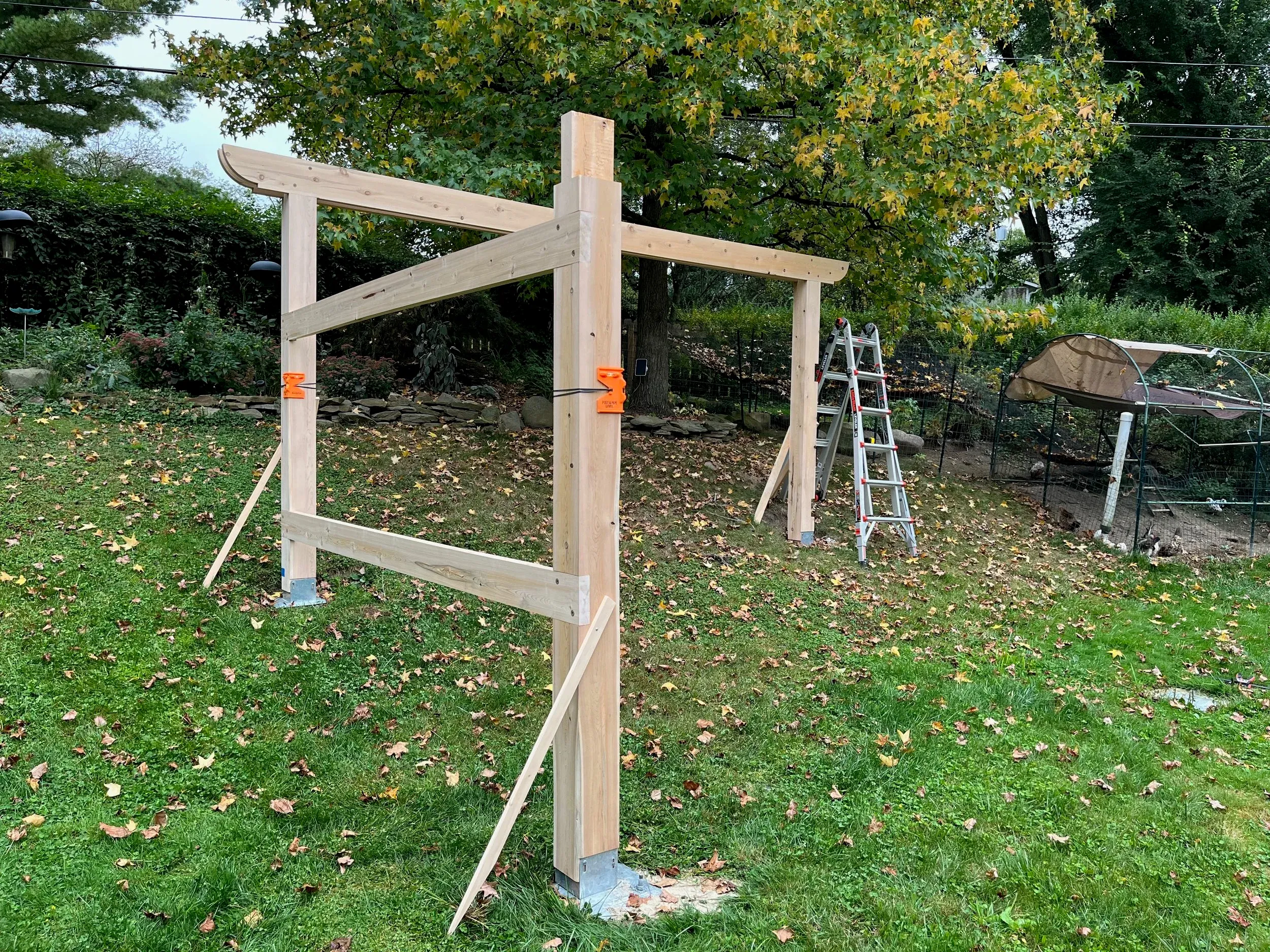 Chicken Fortress — photo 34