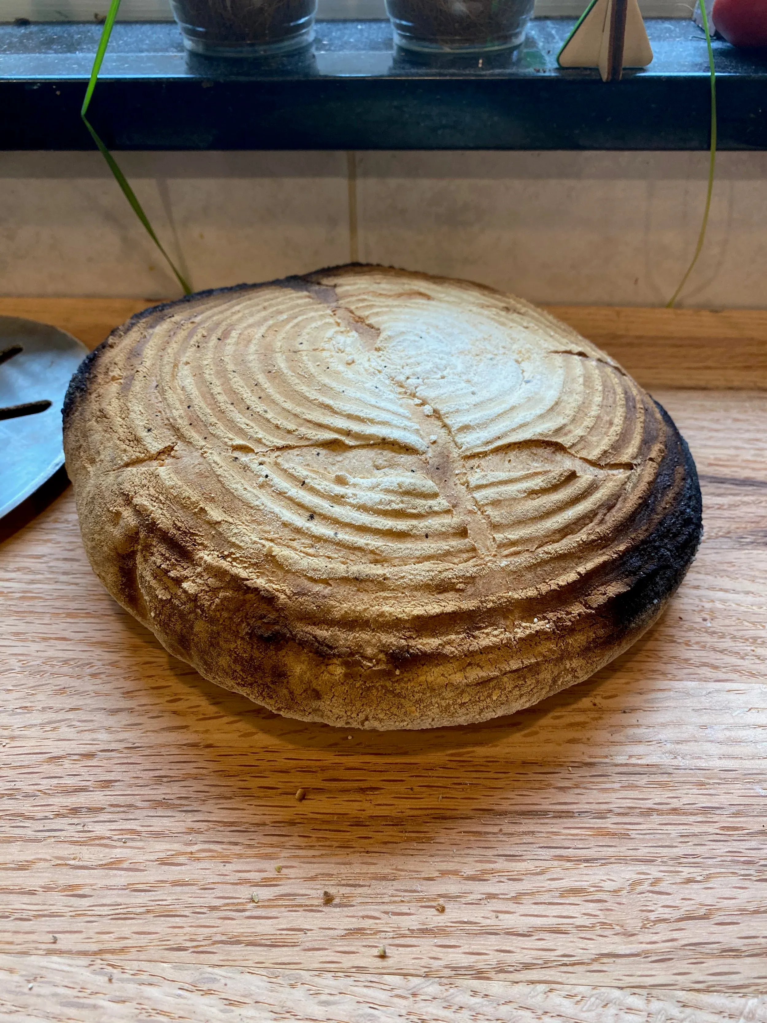 Pizza Oven — photo 36